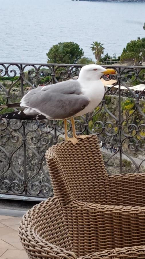 Alla Porta Rossa Manarola Buitenkant foto